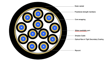 Flexible Breakout Cable 12F
